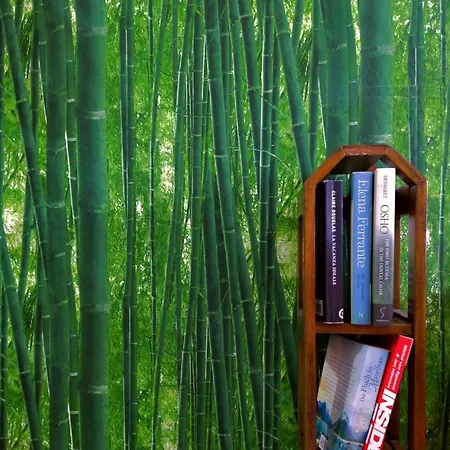 Agaete Park Tropical Style